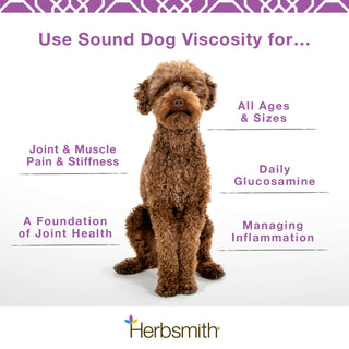 Herbsmith Sound Dog Viscosity Joint Support Large Soft Chews Dog Supplement, 120 Count