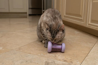 Hero Nala's Treat Wheelie Catnip & Treat Dispensing Cat Toy