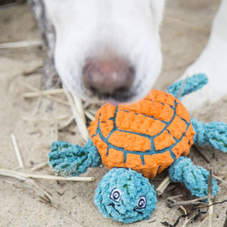 HuggleHounds Huggle-Fusion Dude Turtle Dog Toy