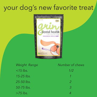 In Clover Grin Dental Dog Treats, 4-oz Bag