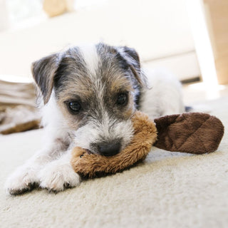 KONG Beaver Dog Toy, Small