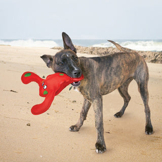 KONG Belly Flops Lobster Dog Toy, Medium