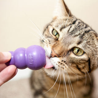 KONG Kitty KONG Durable Treat Dispenser