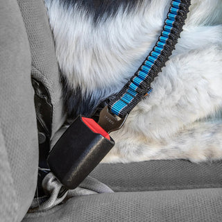 Kurgo Direct to Seatbelt Bungee Tether for Dogs, Blue