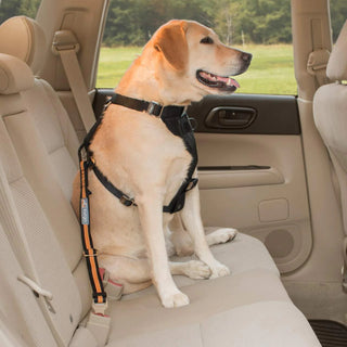 Kurgo Direct to Seatbelt Tether for Dogs