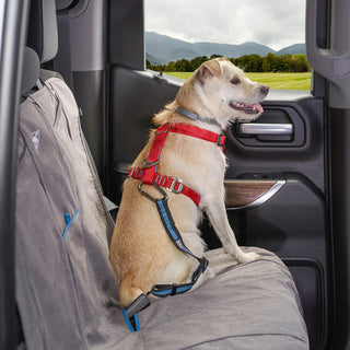 Kurgo Direct to Seatbelt Tether for Dogs, Blue