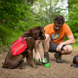 Kurgo Gourd Travel Water Bottle & Bowl for Dogs