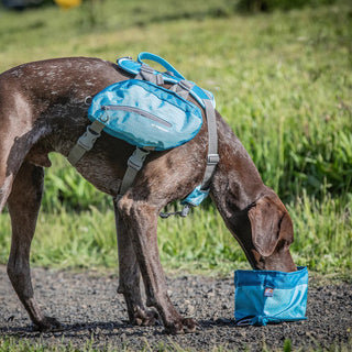 Kurgo Zippy Bowl Travel Dog Bowl for Food or Water, Blue