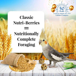 Lafeber's Classic Nutri-Berries Cockatiel Food, 10-oz Bag