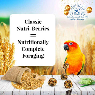 Lafeber's Classic Nutri-Berries Conure Food, 10-oz Bag