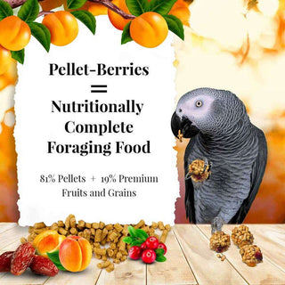 Lafeber's Sunny Orchard Pellet Berries Parrot Food, 10-oz Bag