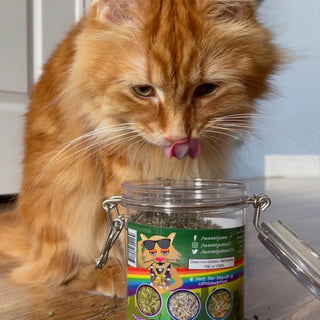 Meowijuana Catnip Pawty Mix for Cats, 60-gram jar