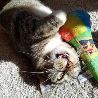 Meowijuana Get Chilled Snowcone Refillable Plush Cat Toy with Catnip