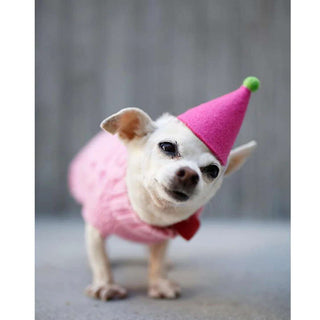 Modern Beast Pawty Hat for Dogs, Pink