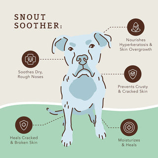 Natural Dog Company Snout Soother Balm for Dogs, 4-oz Tin