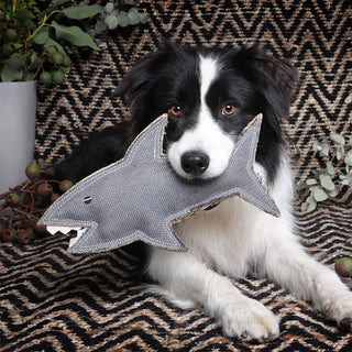 Outback Tails Shazza the Shark Natural Dog Toy