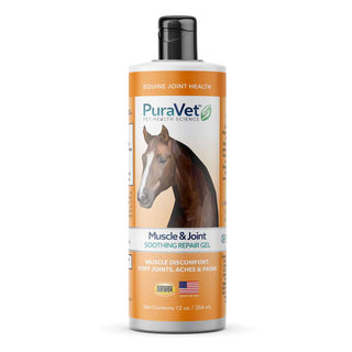 PuraVet Muscle & Joint Soothing Repair Gel for Horses, 12-oz