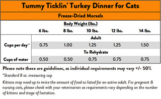 Stella & Chewy's Tummy Ticklin' Turkey Dinner Morsels Freeze-Dried Raw Cat Food, 9-oz Bag