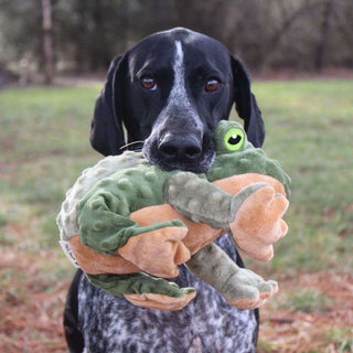 Tall Tails Animated Frog Dog Toy