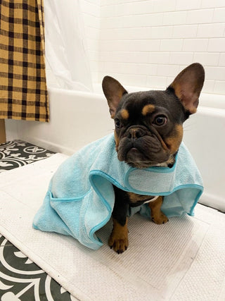 Tall Tails Aqua Blue Cape Dog Towel