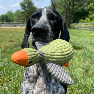 Tall Tails Duck Latex Squeaker Dog Toy