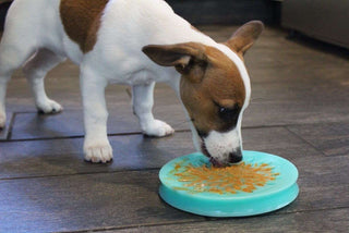 Tall Tails Lickable Dish with Suction Cup