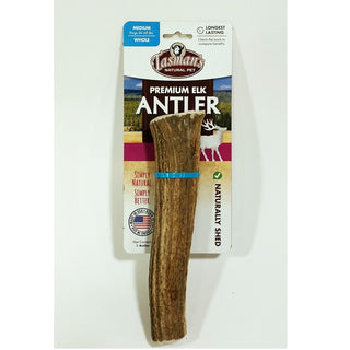 Tasman's Premium USA Whole Elk Antler, Medium