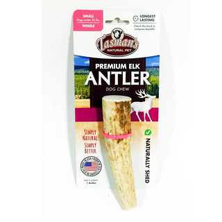 Tasman's Premium USA Whole Elk Antler, Small