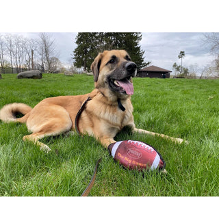 Territory Big Game Football with Squeaker Dog Toy