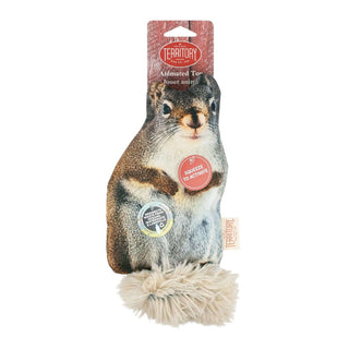 Territory Floppy Squirrel Animated Dog Toy