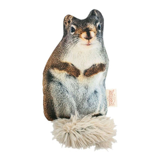 Territory Floppy Squirrel Animated Dog Toy