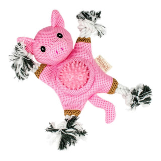 Territory Piggy 2-in-1 Dog Toy