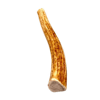 Tibetan Dog Chews Whole Elk Antler for Dogs, Medium