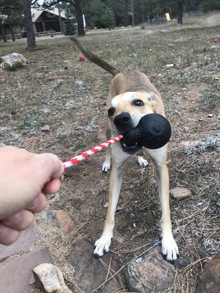 USA-K9 Skull Durable USA Dog Toy & Treat Dispenser