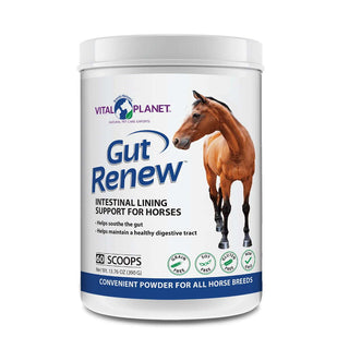 Vital Planet Gut Renew Intestinal Lining Support for Horses, 60-Scoops