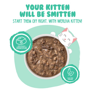 Weruva Kitten Chicken & Tuna Formula in Gravy Wet Cat Food, 3-oz can, case of 12