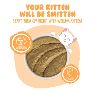 Weruva Kitten Tuna & Salmon Formula in a Hydrating Puree Wet Cat Food, 3-oz can, case of 12