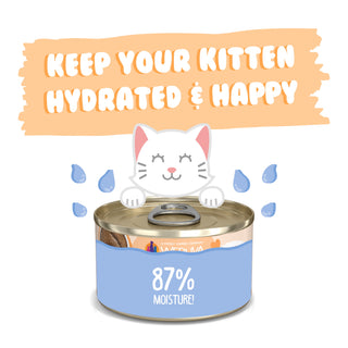 Weruva Kitten Tuna & Salmon Formula in a Hydrating Puree Wet Cat Food, 3-oz can, case of 12