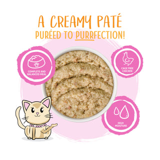 Weruva Slide N' Serve Meal of Fortune Chicken Breast Pate Grain-Free Cat Food Pouches, 2.8-oz pouch Case of 12